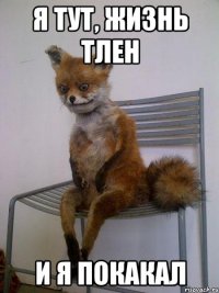я тут, жизнь тлен и я покакал