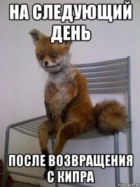 на следующий день после возвращения с кипра