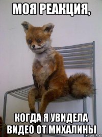 моя реакция, когда я увидела видео от михалины