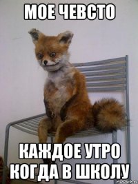 мое чевсто каждое утро когда в школу