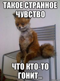 такое странное чувство что кто-то гонит...
