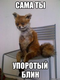 сама ты упоротый блин