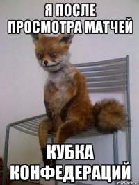 я после просмотра матчей кубка конфедераций