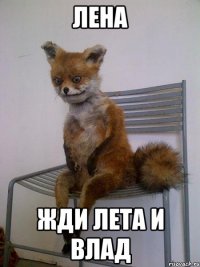 лена жди лета и влад