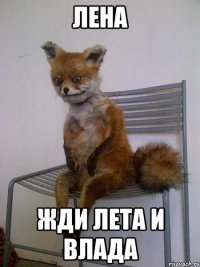 лена жди лета и влада