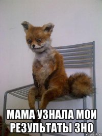  мама узнала мои результаты зно