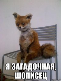 я загадочная, шописец
