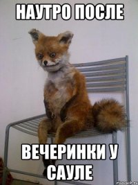 наутро после вечеринки у сауле