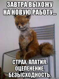 завтра выхожу на новую работу... страх. апатия. оцепенение. безысходность.