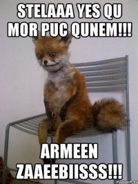 stelaaa yes qu mor puc qunem!!! armeen zaaeebiisss!!!