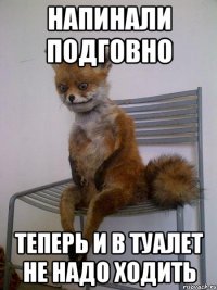 напинали подговно теперь и в туалет не надо ходить