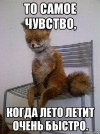 то самое чувство, когда лето летит очень быстро.