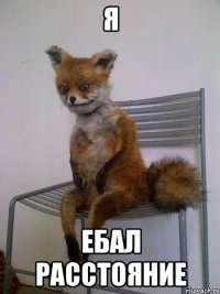 я ебал расстояние