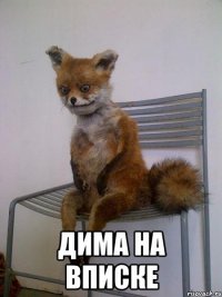  дима на вписке