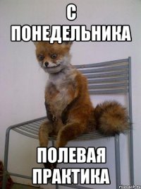 с понедельника полевая практика