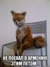  не поехал в армению этим летом...