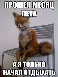 прошел месяц лета а я только начал отдыхать
