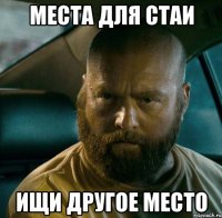 места для стаи ищи другое место