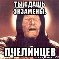 ты сдашь экзамены, пчелинцев