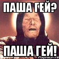 паша гей? паша гей!