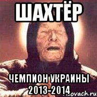 шахтёр чемпион украины 2013-2014