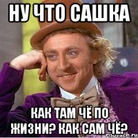 ну что сашка как там чё по жизни? как сам чё?