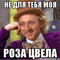 не для тебя моя роза цвела