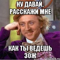 ну давай, расскажи мне как ты ведешь зож