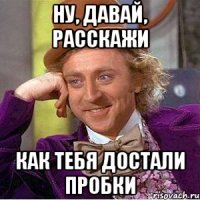 ну, давай, расскажи как тебя достали пробки
