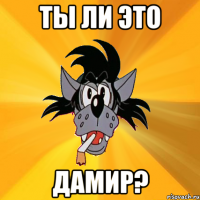 ты ли это дамир?