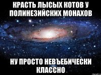 красть лысых котов у полинезийских монахов ну просто невъебически классно