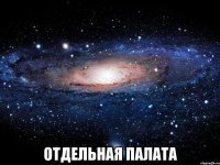 отдельная палата