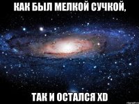 как был мелкой сучкой, так и остался xd