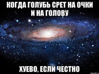когда голубь срет на очки и на голову хуево, если честно