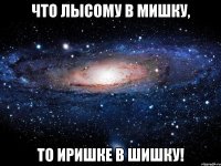 что лысому в мишку, то иришке в шишку!