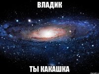 владик ты какашка