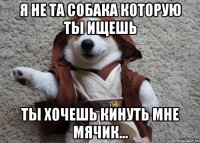 я не та собака которую ты ищешь ты хочешь кинуть мне мячик...
