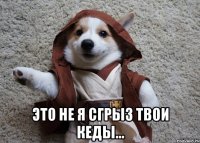  это не я сгрыз твои кеды...