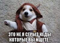  это не я сгрыз кеды, которые вы ищете...