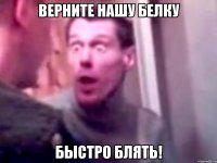 верните нашу белку быстро блять!