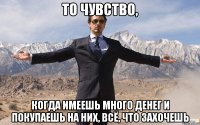 то чувство, когда имеешь много денег и покупаешь на них, всё, что захочешь