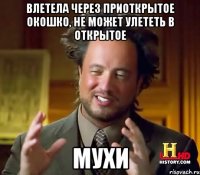 влетела через приоткрытое окошко, не может улететь в открытое мухи