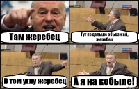 Там жеребец Тут подальше объезжай, жеребец В том углу жеребец А я на кобыле!