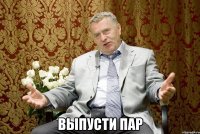  выпусти пар
