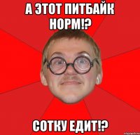 а этот питбайк норм!? сотку едит!?