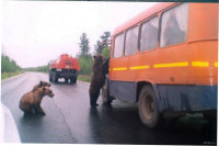 Создать мем ДПС КОПЫ