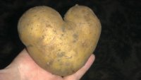 Создать мем Иногда у овоща больше диапазон ч
