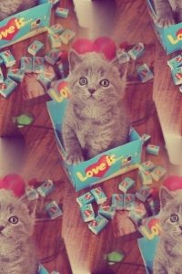 Создать мем лов ис