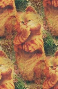 Создать мем ТИПО