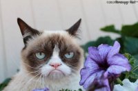 наконец-то завтра на работу, Мем завтра на работу -урааа
